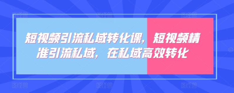 短视频引流私域转化课，短视频精准引流私域，在私域高效转化-南友云赚
