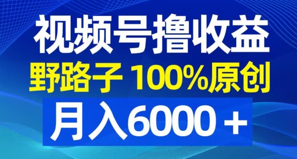 视频号野路子撸收益，100%原创，条条爆款，月入6000＋【揭秘】-南友云赚