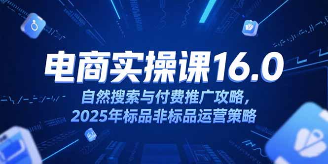 淘宝电商运营课16.0，自然搜索与付费推广攻略，2025年标品非标品运营策略-南友云赚