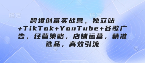 跨境创富实战营，独立站+TikTok+YouTube+谷歌广告，经营策略，店铺运营，精准选品，高效引流-南友云赚