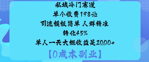 私域冷门赛道:单个收费198米引流模板简单人群精准转化45%单人一天大概收益是1k+-南友云赚
