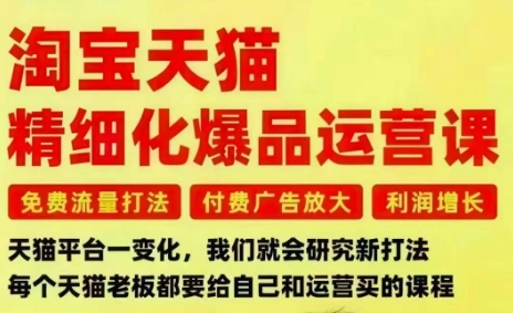 淘宝天猫精细化爆品运营课，免费流量打法-付费广告放大-利润增长-三大核心痛点，一次全部解决-南友云赚