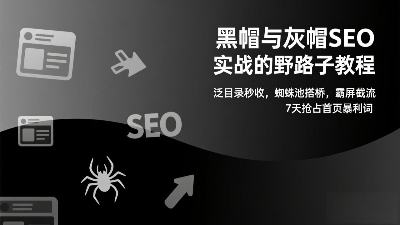 黑帽与灰帽SEO实战的野路子教程：泛目录秒收，蜘蛛池搭桥，霸屏截流，7天抢占首页暴利词-南友云赚