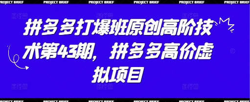 cb7ff4d62a1e89f7143d68f0230d928a.jpeg 拼多多打爆班原创高阶技术第43期,拼多多高价虚拟项目