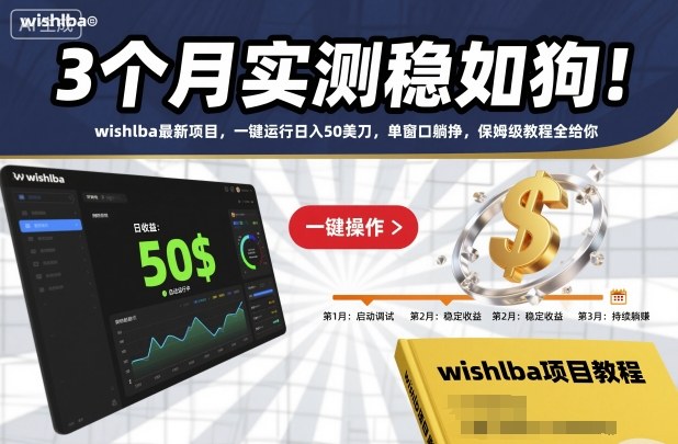 3个月实测稳如狗！wishlba最新项目，一键运行日入50美刀，单窗口躺挣，保姆级教程全给你【揭秘】-南友云赚