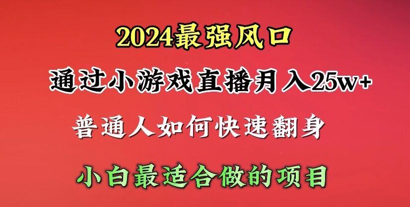 (10020期)2024年最强风口，通过小游戏直播月入25w+单日收益5000+小白最适合做的项目-南友云赚
