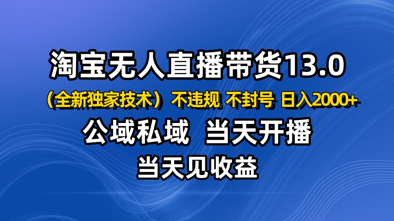 淘宝无人直播13.0，公域私域技术，不封号，不违规 布局下半年旺季赛道，日入2000+-南友云赚