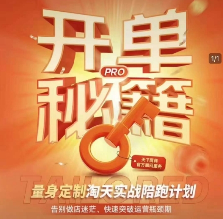 淘宝开单秘籍PRO，量身定制淘天实战陪跑计划，告别做店迷茫、快速突破运营瓶颈期(更新)-南友云赚