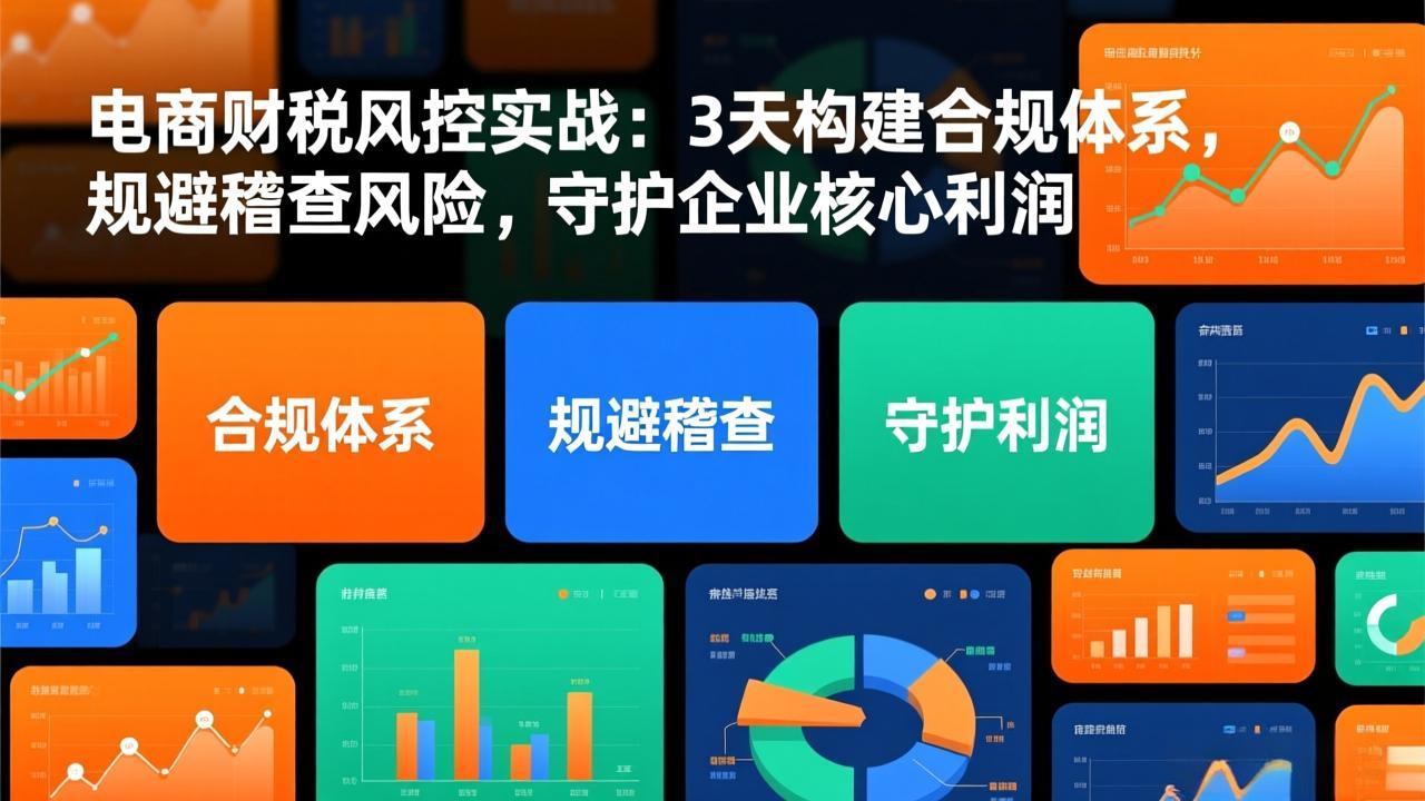 电商财税风控实战：3天构建合规体系，规避稽查风险，守护企业核心利润-南友云赚