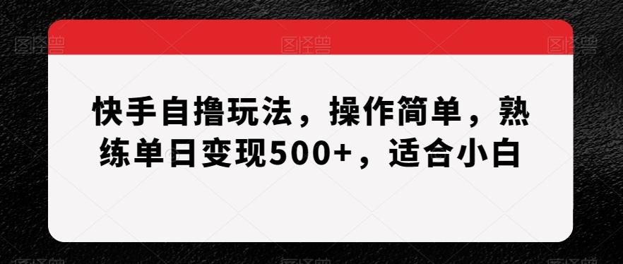 快手自撸玩法，操作简单，熟练单日变现500+，适合小白【揭秘】-南友云赚