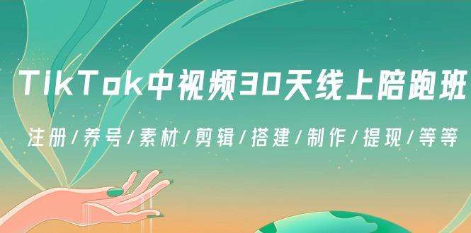 TikTok中视频-30天线上陪跑班：注册/养号/素材/剪辑/搭建/制作/提现/等等-南友云赚
