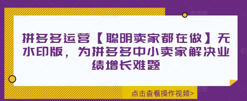 拼多多运营【聪明卖家都在做】无水印版，为拼多多中小卖家解决业绩增长难题-南友云赚