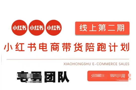 d313db3551ce187877a7a503131c4195.jpeg 小红书电商带货课2期,月利润20个的小红书电商的有货源,无货源,虚拟产品,付费投流等整套玩法