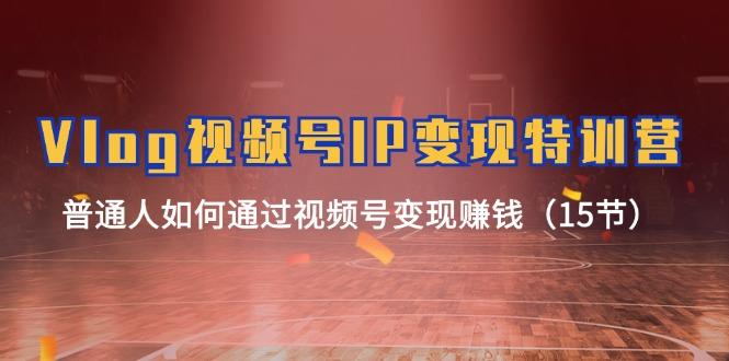 Vlog 视频号IP变现特训营，普通人如何通过视频号变现赚钱(15节-南友云赚