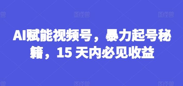 AI赋能视频号，暴力起号秘籍，15 天内必见收益【揭秘】-南友云赚
