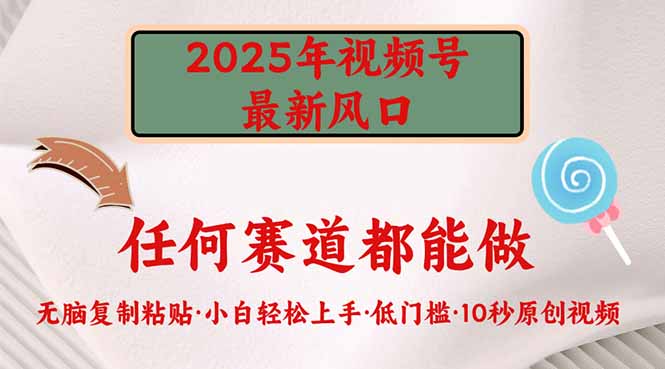 2025年视频号新风口，低门槛只需要无脑执行-南友云赚