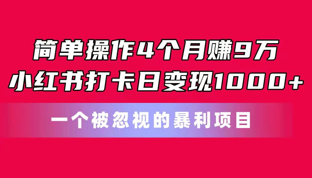 简单操作4个月赚9万！小红书打卡日变现1000+！一个被忽视的暴力项目-南友云赚