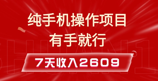 纯手机操作的小项目，有手就能做，7天收入2609+实操教程【揭秘】-南友云赚