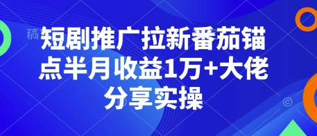 短剧推广拉新番茄锚点半月收益1万+大佬分享实操-南友云赚