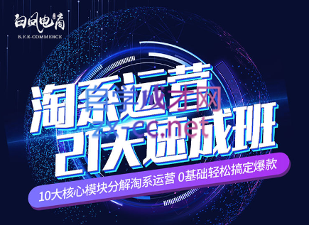 淘系运营21天速成班(更新24年5月)-南友云赚