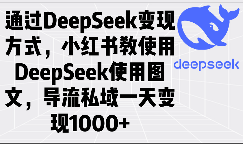 通过DeepSeek变现方式，小红书教使用DeepSeek图文，导流私域一天变现1000+-南友云赚
