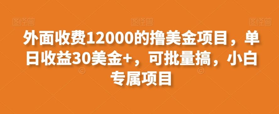 外面收费12000的撸美金项目，单日收益30美金+，可批量搞，小白专属项目-南友云赚