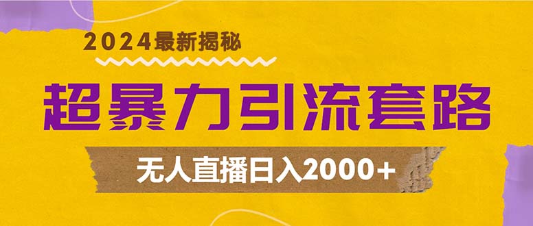 超暴力引流套路，无人直播日入2000+-南友云赚