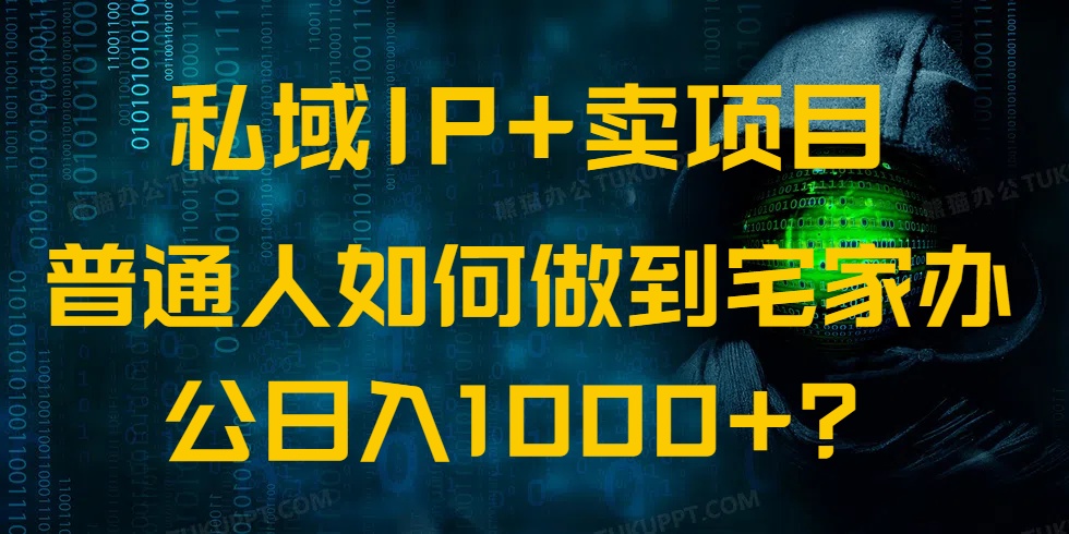 私域IP+卖项目，普通人如何做到宅家办公实现日入1000+-南友云赚