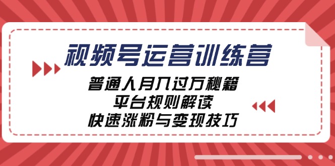 视频号运营训练营：普通人月入过万秘籍，平台规则解读，快速涨粉与变现-南友云赚