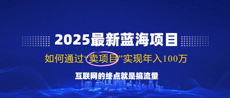 2025最新蓝海项目，零门槛轻松复制，月入10万+，新手也能操作！-南友云赚