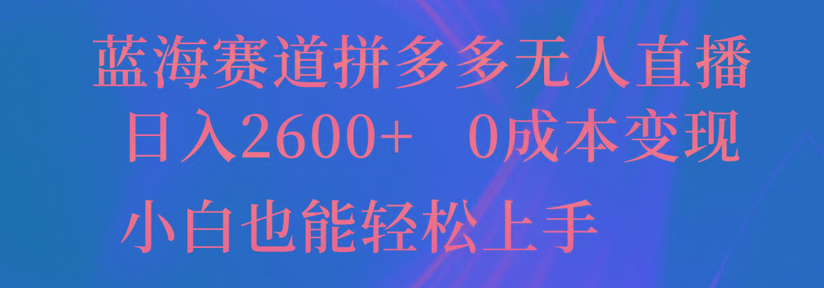 蓝海赛道拼多多无人直播，日入2600+，0成本变现，小白也能轻松上手-南友云赚