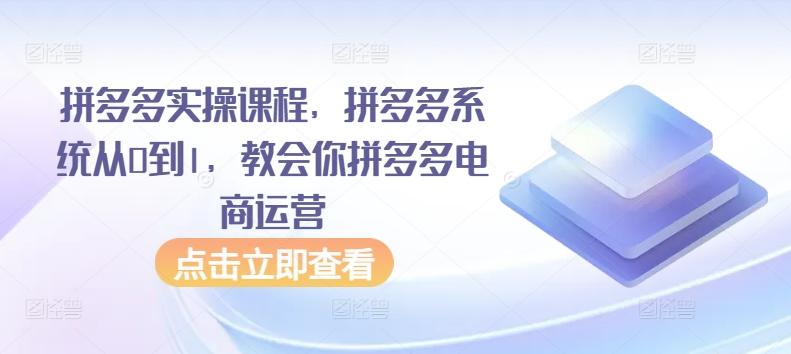拼多多实操课程，拼多多系统从0到1，教会你拼多多电商运营-南友云赚