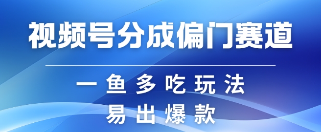 视频号创作者分成计划偏门类目，容易爆流，实拍内容简单易做【揭秘】-南友云赚