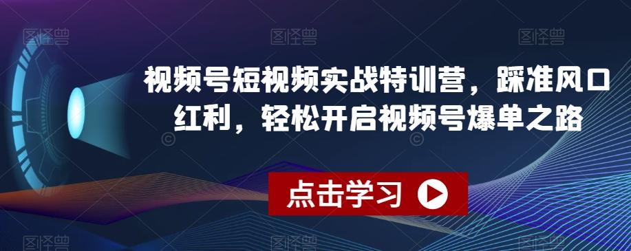 视频号短视频实战特训营，踩准风口红利，轻松开启视频号爆单之路-南友云赚