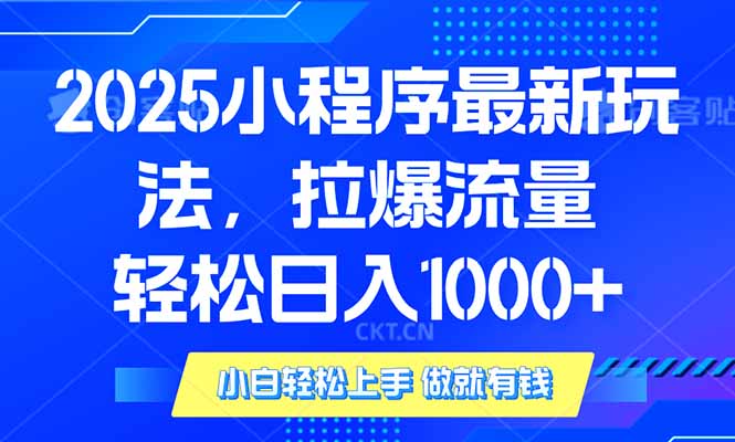 2025年小程序最新玩法，流量直接拉爆，单日稳定变现1000+-南友云赚