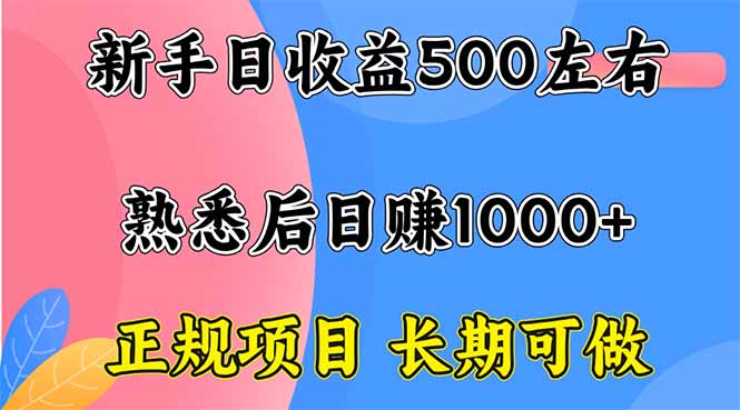 新手日收益500+ 正规项目 长期可做-南友云赚