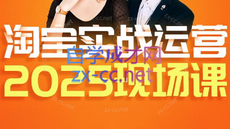 推易·淘宝全套运营现场课程(更新12月)-南友云赚