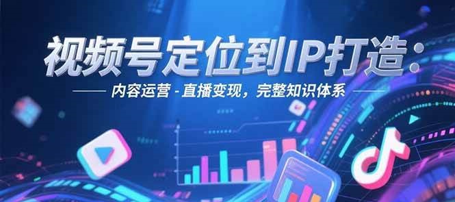 视频号定位到IP打造：账号搭建-内容运营-直播变现，完整知识体系-南友云赚