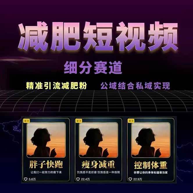 减肥短视频运营实战课：含素材制作、剪映教学，讲精准引流、变现设计与内容模板技巧