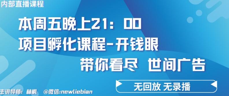 4.26日内部回放课程《项目孵化-开钱眼》赚钱的底层逻辑【揭秘】-南友云赚