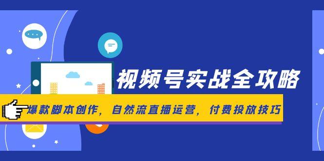 视频号实战全攻略，爆款脚本创作，自然流直播运营，付费投放技巧-南友云赚