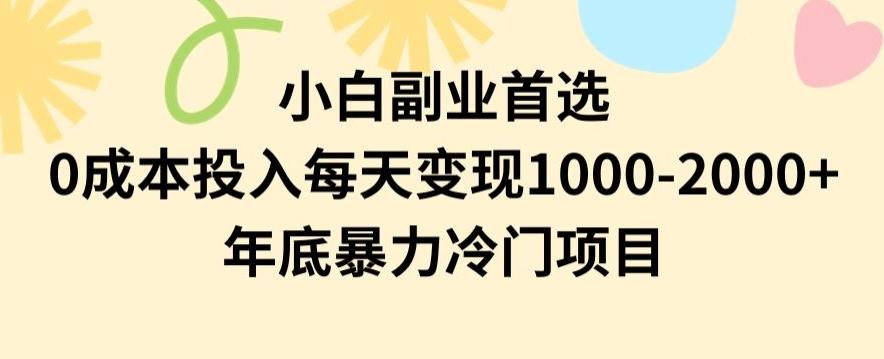 小白副业首选，0成本投入，每天变现1000-2000年底暴力冷门项目【揭秘】-南友云赚
