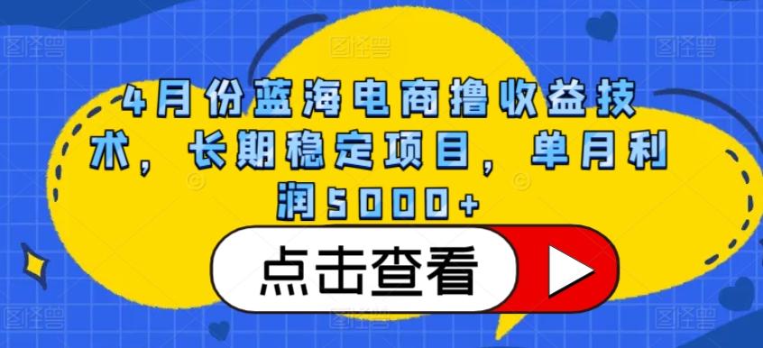 4月份蓝海电商撸收益技术，长期稳定项目，单月利润5000+【揭秘】-南友云赚