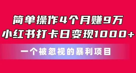 简单操作4个月赚9w，小红书打卡日变现1k，一个被忽视的暴力项目【揭秘】-南友云赚