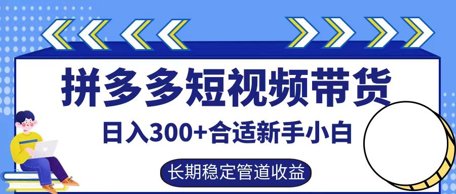 拼多多短视频带货日入300+，实操账户展示看就能学会-南友云赚
