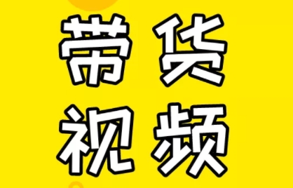 芒果老师·教你做抖音短视频和直播带货-南友云赚