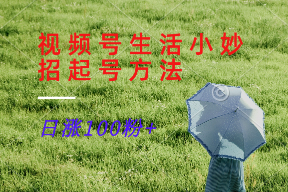 视频号生活小妙招分享赛道， 起号涨粉新方法，日涨100粉-南友云赚