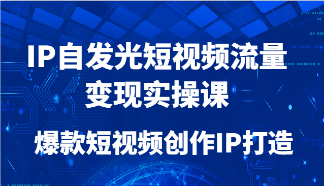 IP自发光短视频流量变现实操课，爆款短视频创作IP打造-南友云赚