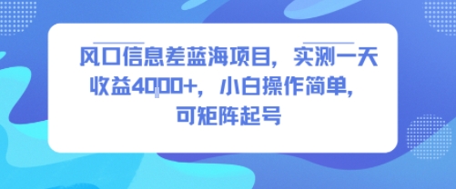 风口信息差蓝海项目，实测一天收益4k+，小白操作简单，可矩阵起号-南友云赚