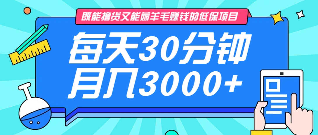 既能撸货又能赚钱的长期低保项目，每天30分钟，多号百分百稳定月入3000+！-南友云赚